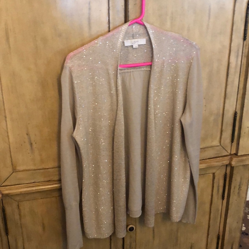 Loft sequin sweater